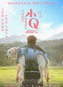 av电影在线免费看